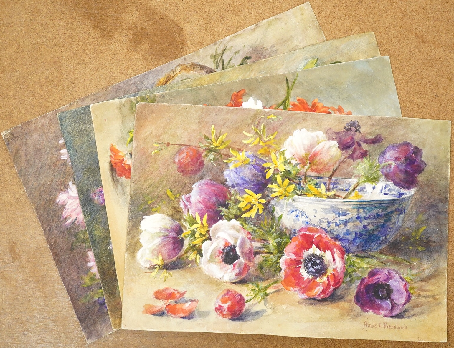 Annie L Pressland, Set of four original watercolours for postcard designs, to include Chrysanthemums and Violets, Lilac and Scarlet Anenomes, each signed, watercolours on card, unframed, largest 19 x 27cm